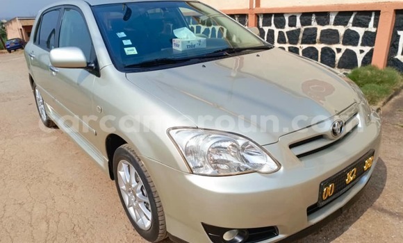 Buy Used Toyota Corolla Silver Car in Yaounde in Central Cameroon Buy Used Toyota Corolla Silver Car in Yaounde in Central Cameroon