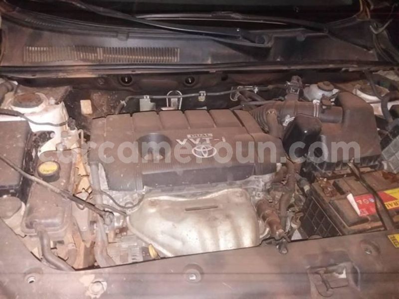 Big with watermark 48243190 156849565282753 949856438694445056 o