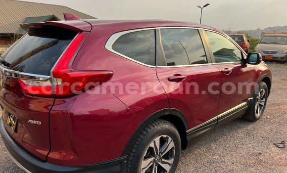 Buy Used Honda CR–V Red Car in Yaounde in Central Cameroon Buy Used Honda CR–V Red Car in Yaounde in Central Cameroon