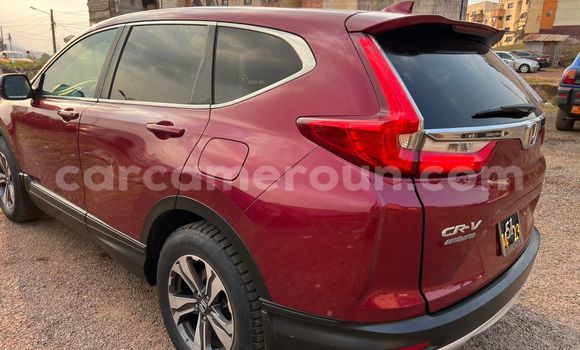 Buy Used Honda CR–V Red Car in Yaounde in Central Cameroon Buy Used Honda CR–V Red Car in Yaounde in Central Cameroon
