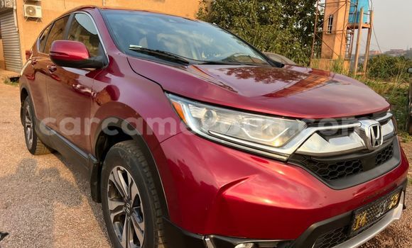 Buy Used Honda CR–V Red Car in Yaounde in Central Cameroon Buy Used Honda CR–V Red Car in Yaounde in Central Cameroon