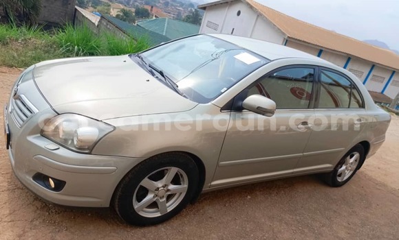 Buy Used Toyota Avensis Silver Car in Yaounde in Central Cameroon Buy Used Toyota Avensis Silver Car in Yaounde in Central Cameroon
