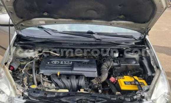 Buy Used Toyota Corolla Verso Silver Car in Douala in Littoral Cameroon