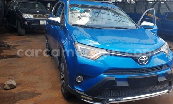 Buy Used Toyota RAV4 Blue Car in Yaounde in Central Cameroon Buy Used Toyota RAV4 Blue Car in Yaounde in Central Cameroon