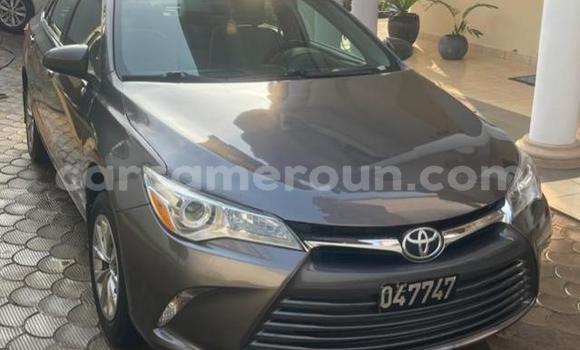 Buy Used Toyota Camry Silver Car in Yaounde in Central Cameroon