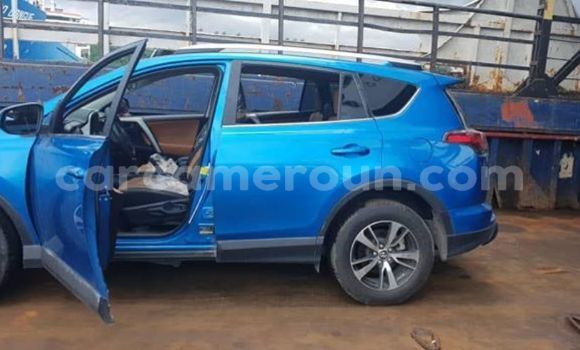 Buy Used Toyota RAV4 Blue Car in Yaounde in Central Cameroon Buy Used Toyota RAV4 Blue Car in Yaounde in Central Cameroon
