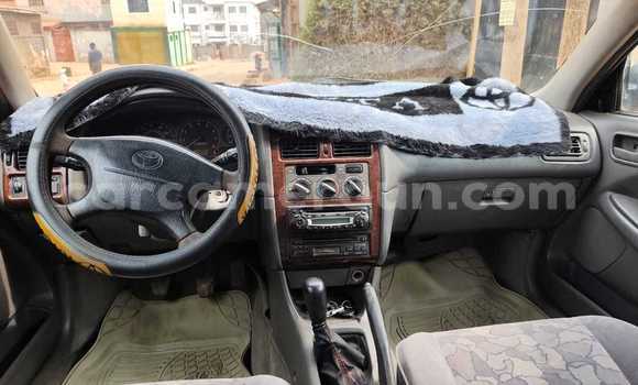 Buy Used Toyota Avensis Green Car in Yaounde in Central Cameroon Buy Used Toyota Avensis Green Car in Yaounde in Central Cameroon