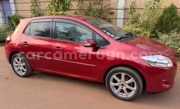 Sayi Na hannu Toyota Auris Red Mota in Yaounde a Babban Kamaru Sayi Na hannu Toyota Auris Red Mota in Yaounde a Babban Kamaru