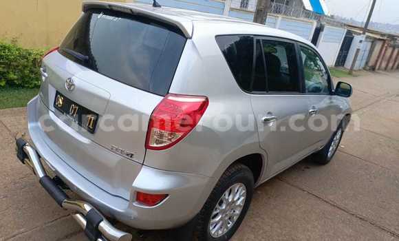 Buy Used Toyota RAV4 Silver Car in Yaounde in Central Cameroon Buy Used Toyota RAV4 Silver Car in Yaounde in Central Cameroon