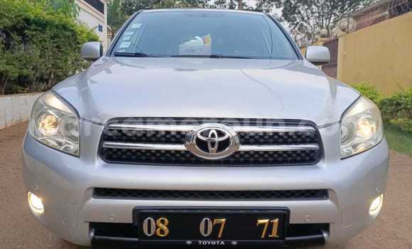 Buy Used Toyota RAV4 Silver Car in Yaounde in Central Cameroon Buy Used Toyota RAV4 Silver Car in Yaounde in Central Cameroon