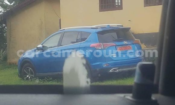 Buy Used Toyota RAV4 Blue Car in Yaounde in Central Cameroon Buy Used Toyota RAV4 Blue Car in Yaounde in Central Cameroon