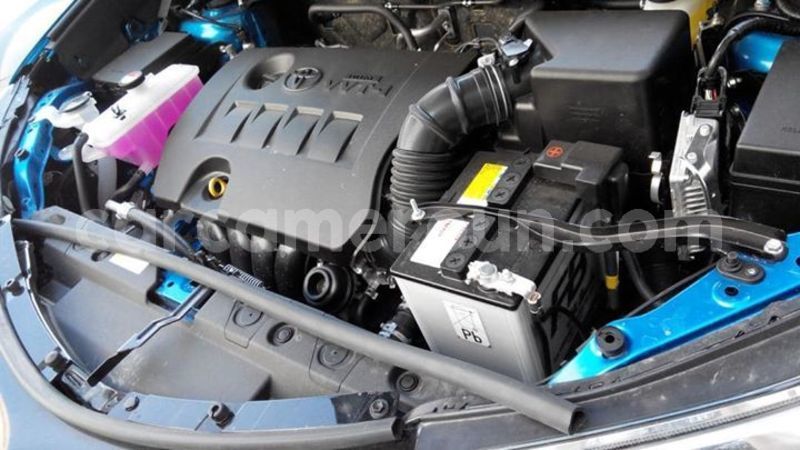 Big with watermark 47310896 154196045548105 2631710299744370688 o