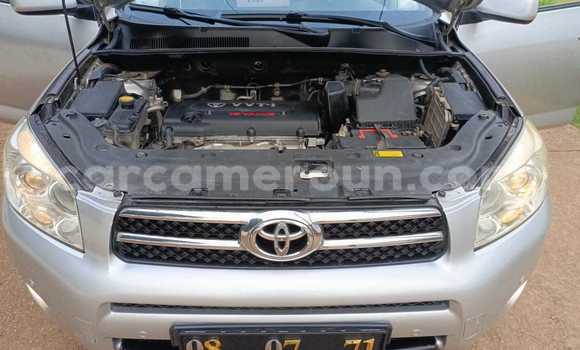 Buy Used Toyota RAV4 Silver Car in Yaounde in Central Cameroon Buy Used Toyota RAV4 Silver Car in Yaounde in Central Cameroon