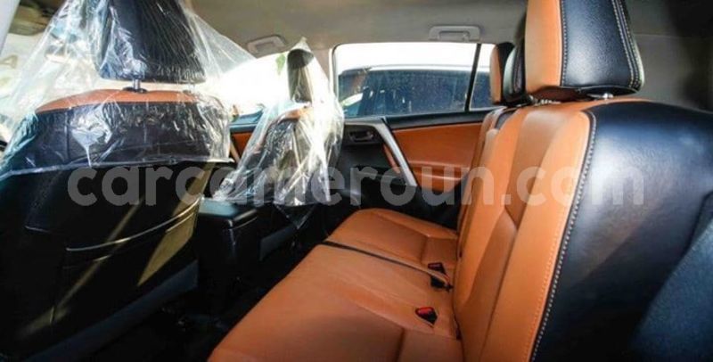 Big with watermark 47238427 154196002214776 2217503086782447616 n