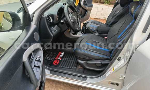 Buy Used Toyota RAV4 Silver Car in Yaounde in Central Cameroon Buy Used Toyota RAV4 Silver Car in Yaounde in Central Cameroon