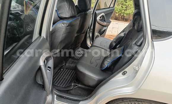 Buy Used Toyota RAV4 Silver Car in Yaounde in Central Cameroon Buy Used Toyota RAV4 Silver Car in Yaounde in Central Cameroon
