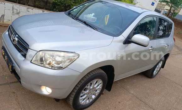 Buy Used Toyota RAV4 Silver Car in Yaounde in Central Cameroon Buy Used Toyota RAV4 Silver Car in Yaounde in Central Cameroon