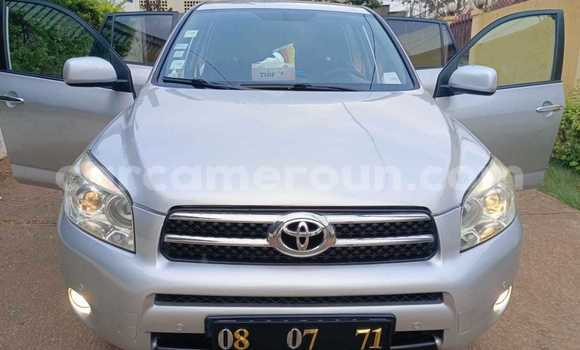 Buy Used Toyota RAV4 Silver Car in Yaounde in Central Cameroon Buy Used Toyota RAV4 Silver Car in Yaounde in Central Cameroon