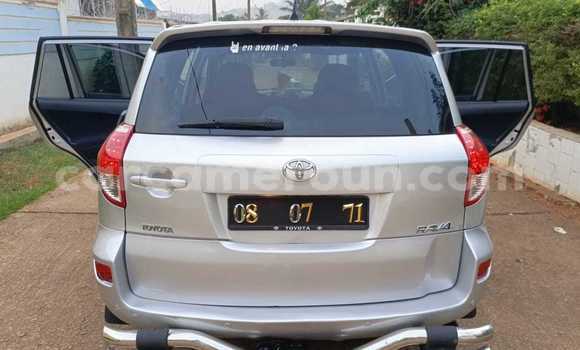 Buy Used Toyota RAV4 Silver Car in Yaounde in Central Cameroon Buy Used Toyota RAV4 Silver Car in Yaounde in Central Cameroon