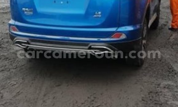 Buy Used Toyota RAV4 Blue Car in Yaounde in Central Cameroon Buy Used Toyota RAV4 Blue Car in Yaounde in Central Cameroon
