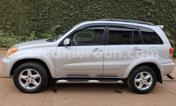 Acheter Occasion Voiture Toyota RAV4 Gris à Yaoundé, Central Cameroon Acheter Occasion Voiture Toyota RAV4 Gris à Yaoundé, Central Cameroon