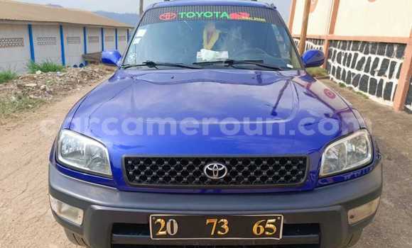 Buy Used Toyota RAV4 Blue Car in Yaounde in Central Cameroon Buy Used Toyota RAV4 Blue Car in Yaounde in Central Cameroon