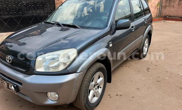 Buy Used Toyota RAV4 Silver Car in Yaounde in Central Cameroon Buy Used Toyota RAV4 Silver Car in Yaounde in Central Cameroon
