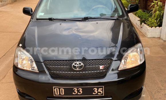 Buy Used Toyota Corolla Black Car in Yaounde in Central Cameroon Buy Used Toyota Corolla Black Car in Yaounde in Central Cameroon