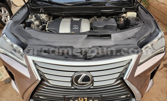 Buy Used Lexus RX 350 Brown Car in Yaounde in Central Cameroon Buy Used Lexus RX 350 Brown Car in Yaounde in Central Cameroon
