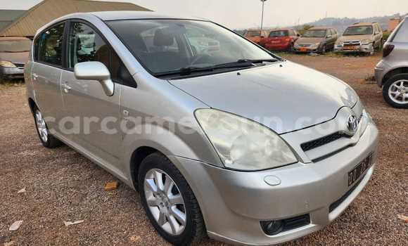 Buy Used Toyota Corolla Verso Silver Car in Yaounde in Central Cameroon Buy Used Toyota Corolla Verso Silver Car in Yaounde in Central Cameroon