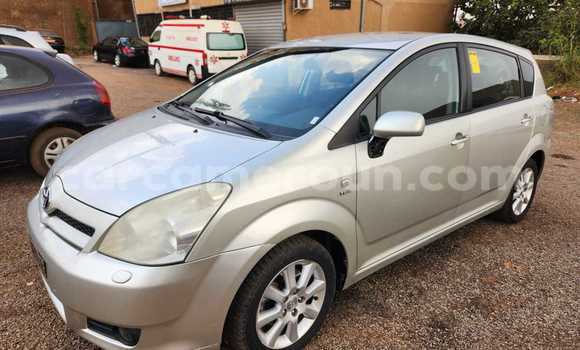Buy Used Toyota Corolla Verso Silver Car in Yaounde in Central Cameroon Buy Used Toyota Corolla Verso Silver Car in Yaounde in Central Cameroon