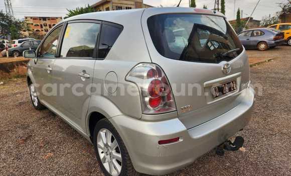 Buy Used Toyota Corolla Verso Silver Car in Yaounde in Central Cameroon Buy Used Toyota Corolla Verso Silver Car in Yaounde in Central Cameroon