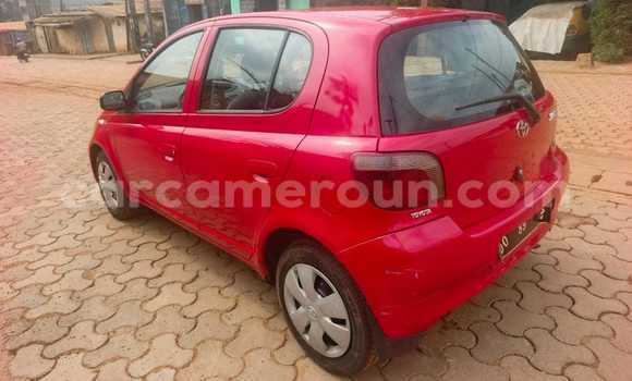 Buy Used Toyota Yaris Red Car in Yaounde in Central Cameroon Buy Used Toyota Yaris Red Car in Yaounde in Central Cameroon