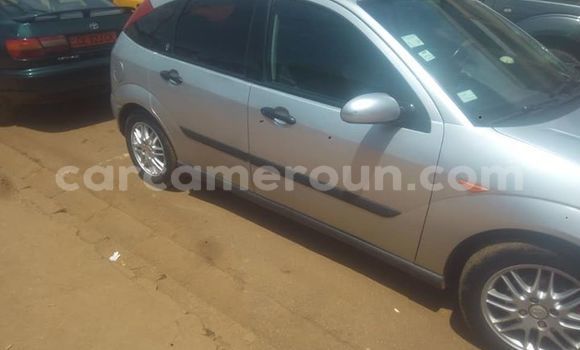 Buy Used Ford Focus Silver Car in Yaounde in Central Cameroon Buy Used Ford Focus Silver Car in Yaounde in Central Cameroon