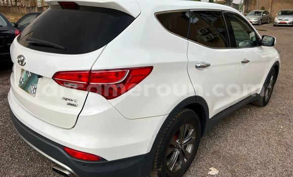 Acheter Occasion Voiture Hyundai Santa Fe Blanc à Yaoundé, Central Cameroon Acheter Occasion Voiture Hyundai Santa Fe Blanc à Yaoundé, Central Cameroon