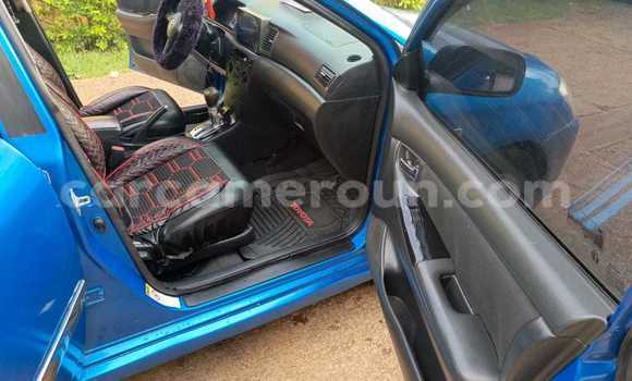 Sayi Na hannu Toyota Corolla Blue Mota in Yaounde a Babban Kamaru Sayi Na hannu Toyota Corolla Blue Mota in Yaounde a Babban Kamaru