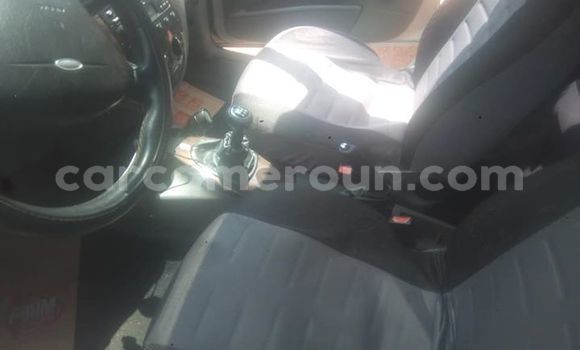 Buy Used Ford Focus Silver Car in Yaounde in Central Cameroon Buy Used Ford Focus Silver Car in Yaounde in Central Cameroon