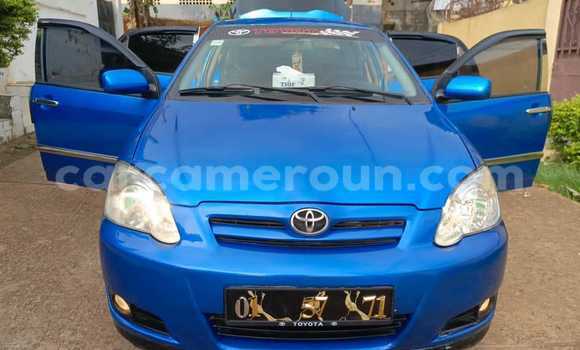 Buy Used Toyota Corolla Blue Car in Yaounde in Central Cameroon Buy Used Toyota Corolla Blue Car in Yaounde in Central Cameroon
