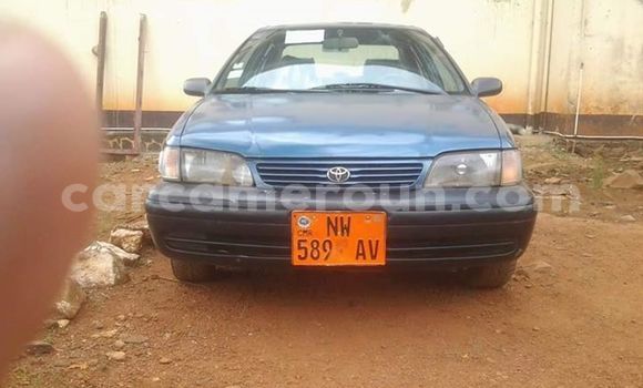 Buy Used Toyota Tercel Blue Car in Yaounde in Central Cameroon Buy Used Toyota Tercel Blue Car in Yaounde in Central Cameroon