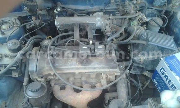 Buy Used Toyota Tercel Blue Car in Yaounde in Central Cameroon Buy Used Toyota Tercel Blue Car in Yaounde in Central Cameroon