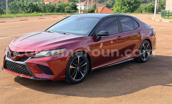 Buy Used Toyota Camry Red Car in Yaounde in Central Cameroon