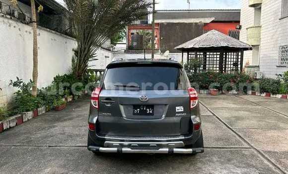 Buy Used Toyota Vanguard Silver Car in Douala in Littoral Cameroon