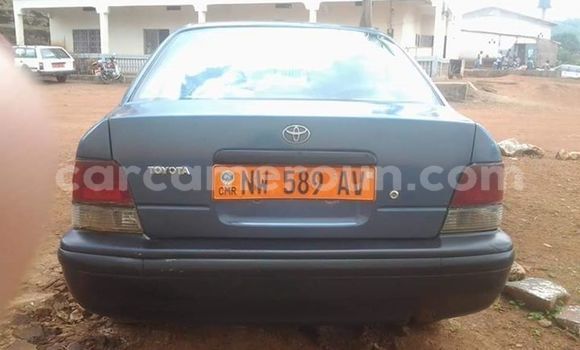 Buy Used Toyota Tercel Blue Car in Yaounde in Central Cameroon Buy Used Toyota Tercel Blue Car in Yaounde in Central Cameroon