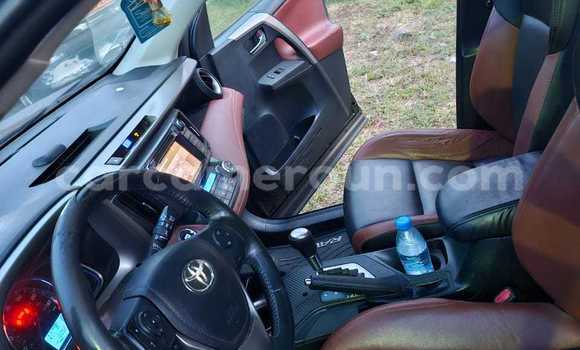 Buy Used Toyota RAV4 Brown Car in Yaounde in Central Cameroon Buy Used Toyota RAV4 Brown Car in Yaounde in Central Cameroon