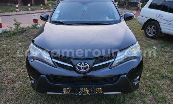 Buy Used Toyota RAV4 Brown Car in Yaounde in Central Cameroon Buy Used Toyota RAV4 Brown Car in Yaounde in Central Cameroon