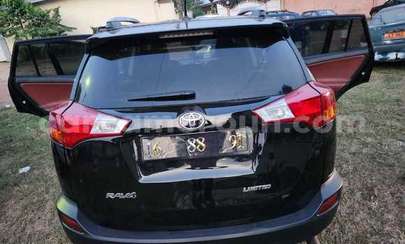 Buy Used Toyota RAV4 Brown Car in Yaounde in Central Cameroon Buy Used Toyota RAV4 Brown Car in Yaounde in Central Cameroon