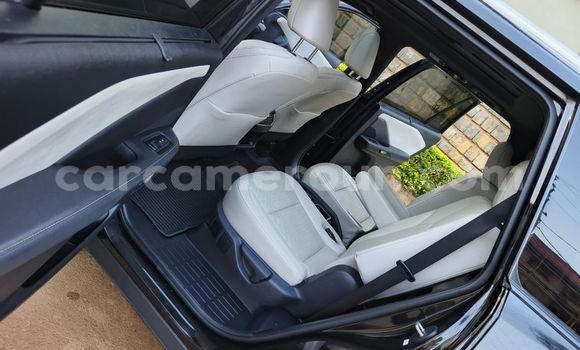 Buy Used Lexus UX Blue Car in Yaounde in Central Cameroon Buy Used Lexus UX Blue Car in Yaounde in Central Cameroon