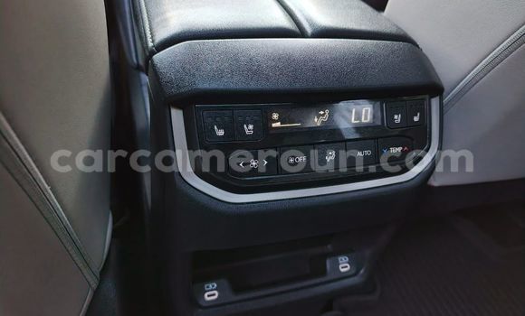 Buy Used Lexus UX Blue Car in Yaounde in Central Cameroon Buy Used Lexus UX Blue Car in Yaounde in Central Cameroon