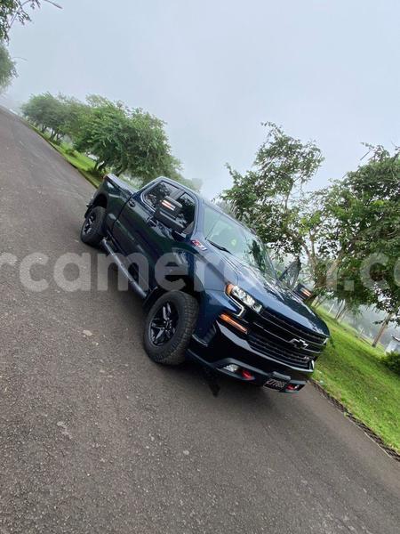 Big with watermark zx grand tiger littoral cameroon douala 22350