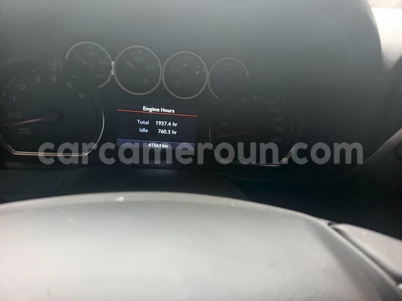 Big with watermark zx grand tiger littoral cameroon douala 22352